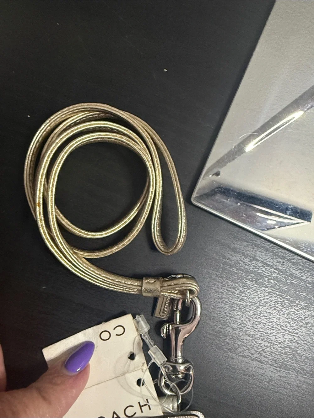 Coach Vintage Metallic Gold Leather iPod Shuffle Holder with Lanyard